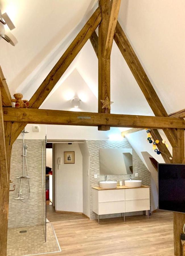 Le Loft Apartment Colmar Exterior photo